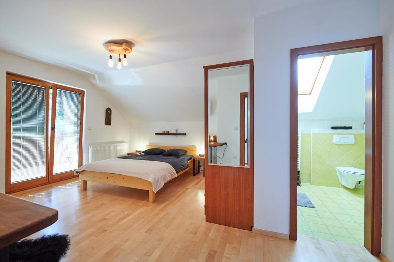 Guesthouse S Luče Extérieur photo