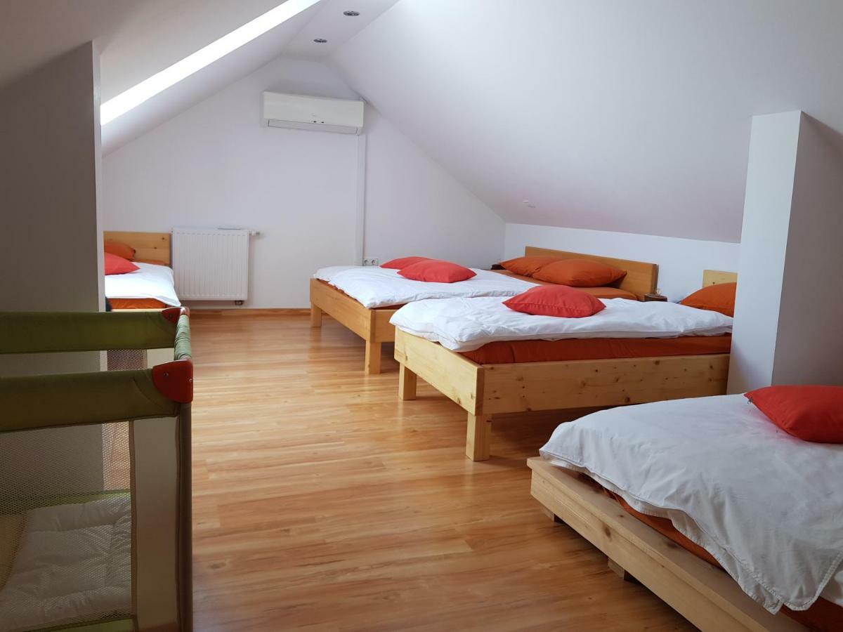 Guesthouse S Luče Extérieur photo
