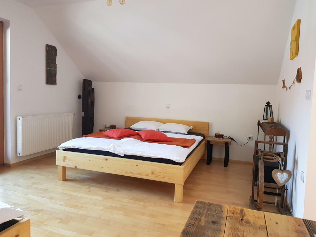 Guesthouse S Luče Extérieur photo